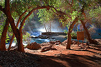 /images/133/2008-04-20-hav-morning-3547.jpg - #05217: Morning at Havasu Falls … April 2008 -- Havasu Falls!, Havasu Falls, Arizona