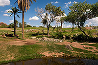 /images/133/2008-07-26-zoo-savan-18015.jpg - #05622: Savanna at the Phoenix Zoo … July 2008 -- Phoenix Zoo, Phoenix, Arizona