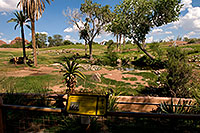 /images/133/2008-07-26-zoo-savan-18035.jpg - #05624: Savanna at the Phoenix Zoo … July 2008 -- Phoenix Zoo, Phoenix, Arizona