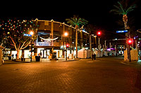 /images/133/2008-12-05-tempe-mill-road-60324.jpg - #06361: Christmas Palm Trees and lights at Mill Road and 7th St in Tempe … December 2008 -- Mill Road, Tempe, Arizona