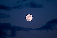 /images/133/2009-02-08-riparian-moon-91395.jpg - 07167: Moon over Riparian Preserve … February 2009 -- Riparian Preserve, Gilbert, Arizona