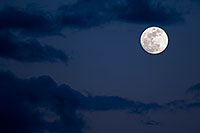 /images/133/2009-02-08-riparian-moon-91402.jpg - #07174: Moon over Riparian Preserve … February 2009 -- Riparian Preserve, Gilbert, Arizona