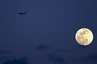 /images/133/2009-02-08-riparian-moon-91440.jpg - #07175: Moon over Riparian Preserve … February 2009 -- Riparian Preserve, Gilbert, Arizona