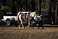 /images/133/2010-06-05-naha-horses-1061.jpg - #08077: Morning at NAHA Horseback riding event in Flagstaff … June 2010 -- Fort Tuthill County Park, Flagstaff, Arizona