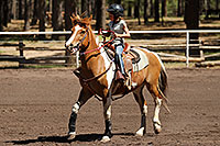 /images/133/2010-06-05-naha-horses-poles-1846.jpg - #08099: NAHA Pole Bending event in Flagstaff … June 2010 -- Fort Tuthill County Park, Flagstaff, Arizona