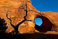 /images/133/2010-09-03-monvalley-tree-hole-29580.jpg - #08565: Tree silhouette by a window in a rock … September 2010 -- Monument Valley, Utah