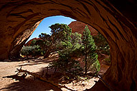 /images/133/2010-09-11-arches-navajo-33270.jpg - #08658: Navajo Arch in Arches National Park … September 2010 -- Navajo Arch, Arches Park, Utah