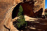 /images/133/2010-09-11-arches-navajo-33282.jpg - #08659: Entrance to Navajo Arch in Arches National Park … September 2010 -- Navajo Arch, Arches Park, Utah