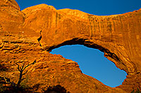 /images/133/2010-09-16-arches-north-wind-34284.jpg - #08699: View of North Window from the back in Arches National Park … September 2010 -- North Window, Arches Park, Utah