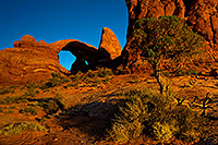 /images/133/2010-09-25-arches-turret-35050.jpg - #08717: Turret Arch in Arches National Park … September 2010 -- Turret Arch, Arches Park, Utah