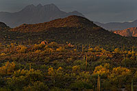 /images/133/2011-05-20-supers-evening-71181.jpg - #09203: Evening in Superstitions … May 2011 -- Superstitions, Arizona