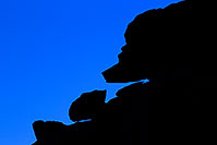 /images/133/2011-06-24-havasu-canyon-78780.jpg - #09323: Bear silhouette along Havasupai Trail … June 2011 -- Havasupai Trail, Havasu Falls, Arizona