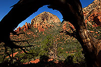 /images/133/2011-08-27-sedona-thunder-arch-91873.jpg - #09443: View of Thunder Mountain (Capital Butte) through a tree arch in Sedona … August 2011 -- Thunder Mountain, Sedona, Arizona