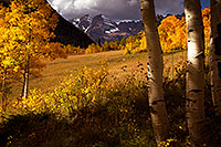 /images/133/2011-10-01-maroon-trees-morn-103205.jpg - #09566: Fall Colors in Maroon Bells, Colorado … October 2011 -- Maroon Bells, Colorado