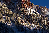 /images/133/2011-10-27-maroon-snowy-far-109373.jpg - #09660: Snowy Trees in Maroon Bells, Colorado … October 2011 -- Maroon Bells, Colorado