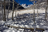 /images/133/2011-10-27-maroon-snowy-log-109432.jpg - #09662: Snowy Trees in Maroon Bells, Colorado … October 2011 -- Maroon Bells, Colorado