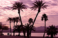 /images/133/2012-01-22-havasu-palm-beach-144359.jpg - #10032: Morning in Lake Havasu City, Arizona … January 2012 -- Beach Park, Lake Havasu City, Arizona