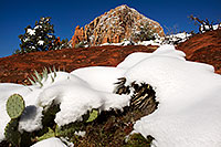 /images/133/2012-03-20-sedona-snow-cactus-149952.jpg - #10090: Snow in Sedona … March 2012 -- Thunder Mountain, Sedona, Arizona
