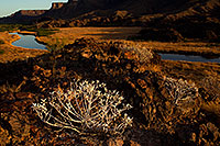 /images/133/2012-03-26-bill-will-evening-151058.jpg - #10095: Bill Williams River at Lake Havasu … March 2012 -- Bill Williams River, Lake Havasu, Arizona