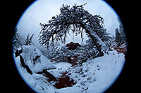 /images/133/2012-04-14-sedona-snow-fishe-5d2_0310.jpg - #10132: Snow in Sedona … April 2012 -- Schnebly Hill, Sedona, Arizona