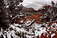 /images/133/2012-04-15-sedona-schnebly-154309.jpg - #10136: Images of Sedona … April 2012 -- Schnebly Hill, Sedona, Arizona