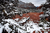 /images/133/2012-04-15-sedona-schnebly-5d2_0391.jpg - #10141: Snow in Sedona … April 2012 -- Schnebly Hill, Sedona, Arizona