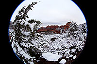 /images/133/2012-04-15-sedona-snow-fishe-5d2_0317.jpg - #10145: Snow in Sedona … April 2012 -- Schnebly Hill, Sedona, Arizona