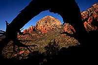 /images/133/2012-04-16-sedona-arch-5d2_0751.jpg - #10147: Tree Arch view of Thunder Mountain (Capital Butte) in Sedona … April 2012 -- Thunder Mountain, Sedona, Arizona