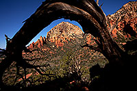 /images/133/2012-04-16-sedona-arch-5d2_0814.jpg - #10148: Tree Arch view of Thunder Mountain (Capital Butte) in Sedona … April 2012 -- Thunder Mountain, Sedona, Arizona