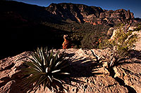 /images/133/2012-05-04-schnebly-hood-top-1ds3_0019.jpg - #10165: Agave and Hoodoo at Schnebly Hill in Sedona … May 2012 -- Schnebly Hill, Sedona, Arizona