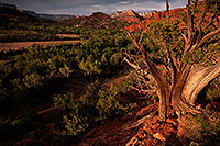 /images/133/2012-05-06-sedona-cathed-top-1ds3_0032.jpg - #10171: View by Cathedral Rock in Sedona … May 2012 -- Cathedral Rock, Sedona, Arizona