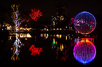 /images/133/2012-12-25-phoenix-zoo-lights2-10542.jpg - #10519: Phoenix Zoo Lights … December 2012 -- Phoenix Zoo, Phoenix, Arizona