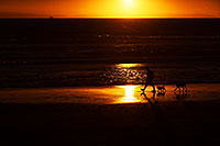 /images/133/2012-12-27-ca-huntington-sunset-11409.jpg - #10526: Sunset at Huntington Beach, California … December 2012 -- Huntington Beach, California