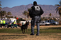 /images/133/2013-01-18-havasu-balloons-dogs-20322.jpg - #10714: K9 Police dog Thor at Lake Havasu Balloon Fest … January 2013 -- Lake Havasu City, Arizona