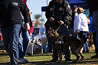 /images/133/2013-01-18-havasu-balloons-dogs-20337.jpg - #10721: K9 Police dog Thor at Lake Havasu Balloon Fest … January 2013 -- Lake Havasu City, Arizona