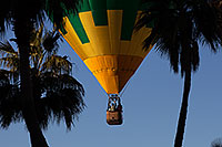 /images/133/2013-01-20-havasu-balloons-palms-21396.jpg - #10760: Lake Havasu Balloon Fest … January 2013 -- Lake Havasu City, Arizona
