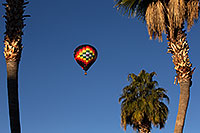 /images/133/2013-01-20-havasu-balloons-palms-21399.jpg - #10761: Lake Havasu Balloon Fest … January 2013 -- Lake Havasu City, Arizona