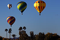 /images/133/2013-01-21-havasu-balloons-22843.jpg - #10774: Lake Havasu Balloon Fest … January 2013 -- Lake Havasu City, Arizona