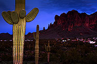 /images/133/2013-03-05-supers-cactus3-29101.jpg - #10865: View of Superstitions … March 2013 -- Superstitions, Arizona