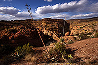 /images/133/2013-04-17-supers-dirt-cliffs-36917.jpg - #11049: Agave in evening light at a cliff overlook … April 2013 -- Apache Trail Road #2, Superstitions, Arizona