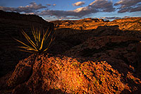 /images/133/2013-04-17-supers-dirt-cliffs-36978.jpg - #11056: Agave in evening light at a cliff overlook … April 2013 -- Apache Trail Road #2, Superstitions, Arizona
