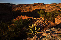 /images/133/2013-04-21-supers-dirt-r-agave-37058.jpg - #11058: Apache Trail mountains in the evening … April 2013 -- Apache Trail Road #2, Superstitions, Arizona