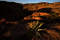 /images/133/2013-04-23-supers-dirt-r-agave-37101.jpg - #11063: Apache Trail mountains in the evening … April 2013 -- Apache Trail Road #2, Superstitions, Arizona