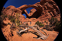 /images/133/2013-11-02-double-arch-fish-1dx_4880.jpg - #11240: Hikers at Double Arch in Arches National Park … November 2013 -- Double Arch, Arches Park, Utah