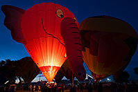 /images/133/2014-01-19-havasu-glow-1dx_8573.jpg - #11693: Elephant (Special Shape) at Lake Havasu Balloon Fest … January 2014 -- Lake Havasu City, Arizona