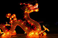 /images/133/2014-01-31-fhills-chin-dragon-5d2_0423.jpg - #11710: Dragons at Chinese New Year Lantern Culture and Arts Festival 2014 … January 2014 -- Fountain Hills, Arizona