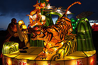 /images/133/2014-02-01-fhills-chin-tiger-5d2_0680.jpg - #11721: Xiang Long Fu Hu can defeat the tiger and the dragon - Chinese New Year Lanterns … February 2014 -- Fountain Hills, Arizona