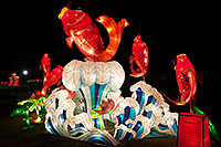 /images/133/2014-02-02-fhills-chin-fish-5d2_1051.jpg - #11735: Fish at Chinese New Year Lantern Culture and Arts Festival 2014 … February 2014 -- Fountain Hills, Arizona
