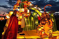 /images/133/2014-02-04-fhills-chin-tiger-5d2_1601.jpg - #11759: Xiang Long Fu Hu can defeat the tiger and the dragon - Chinese New Year Lanterns … February 2014 -- Fountain Hills, Arizona