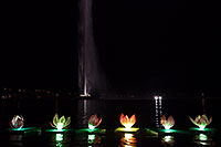 /images/133/2014-02-09-fhills-chin-lill-5d2_3268.jpg - #11775: Water Lillies at Chinese New Year Lantern Culture and Arts Festival 2014 … February 2014 -- Fountain Hills, Arizona